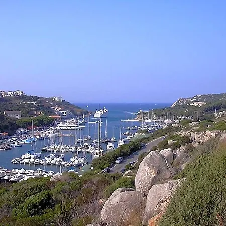 Canne Al Vento